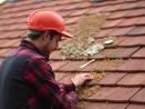 Démoussage de toiture et entretien des gouttières à Le Mée-sur-Seine 77350