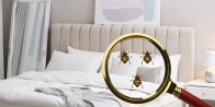 Traitement punaise de lit appartement Paris 2 75002 – Rapide et discret dans le Paris - Île-de-France