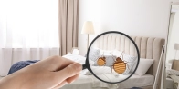 Traitement punaise de lit appartement Montmorency 95160 – Rapide et discret dans le Val-d’Oise