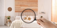 Traitement punaise de lit appartement Paris 8 75008 – Rapide et discret dans le Paris - Île-de-France
